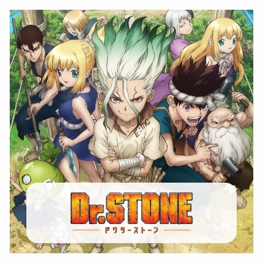Dr Stone Puzzles